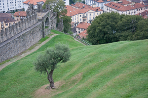 Castle Yard in Bellinzona
